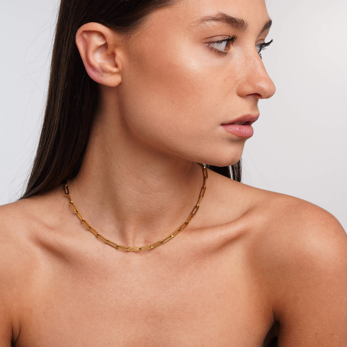 Collar de Enlace
